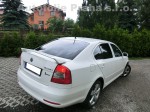 Tónování autoskel Škoda Octavia II