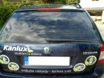 Tónování autoskel Škoda Octavia 2 combi