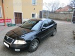 Tónování autoskel Škoda Octavia II