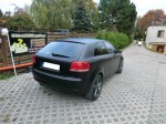 Tónování autoskel Audi A3