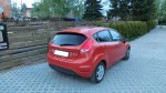 Tónování autoskel Ford Fiesta